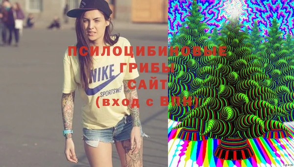 Альфа ПВП Зуевка