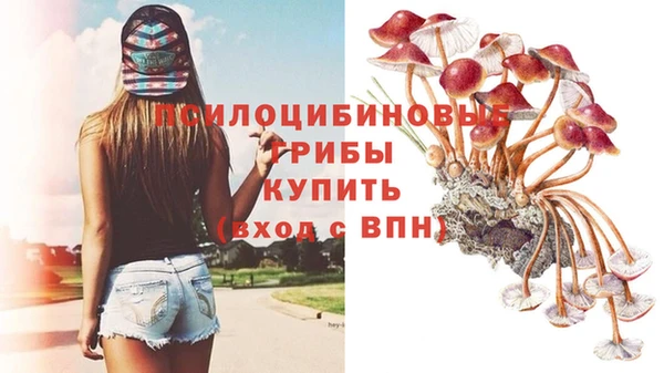 mdpv Баксан